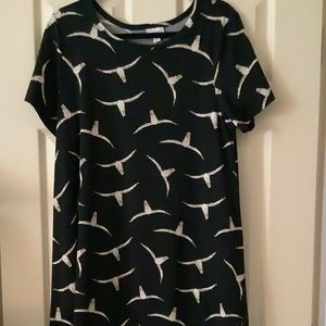 LulaRoe Carly